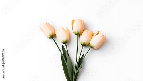 Wallpaper Mural bunch flowers isolated white background Torontodigital.ca