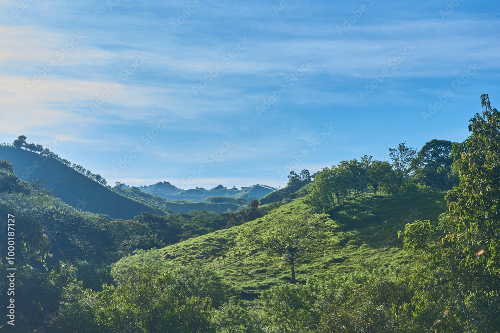 Naklejka premium Green forest and mountains accompanied by white clouds and blue sky in the background