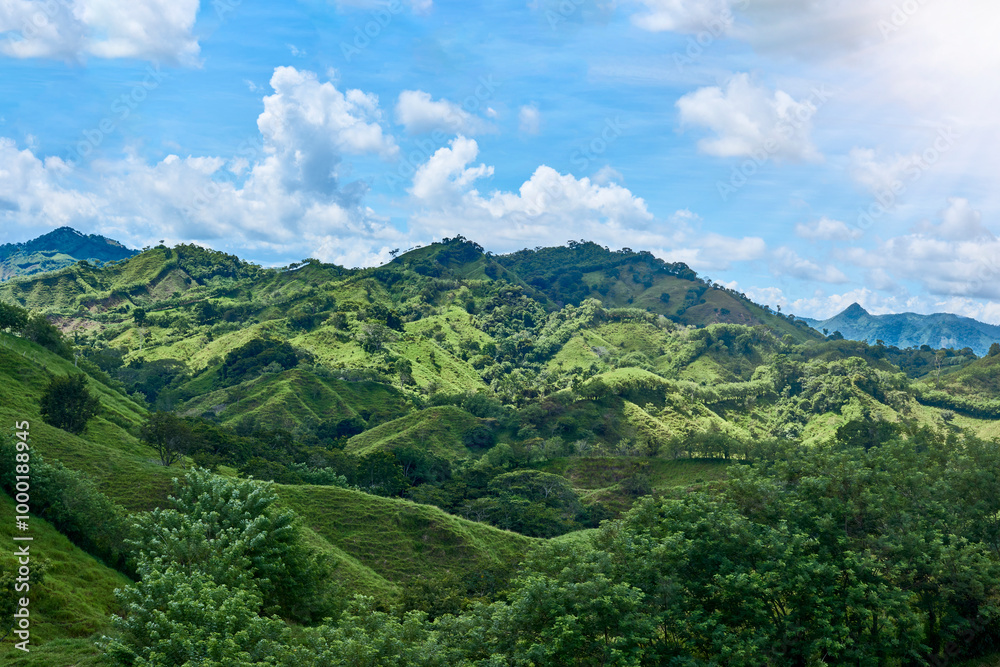 Green mountains with blue sky and clouds, hills with trees, leaves on top