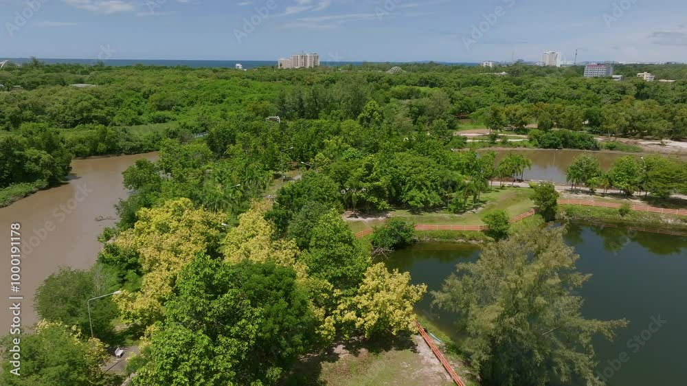 Exploring the Lush Greenery and Winding Rivers of a Serene Park in Coastal Florida on a Sunny Day Exploring the Lush Greenery and Winding Rivers of a Serene Park in Coastal Florida on a Sunny Day