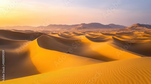 panoramic vista of undulating sahara sand dunes at sunset golden light casts long shadows creating a mesmerizing interplay of light and texture across the vast desert landscape