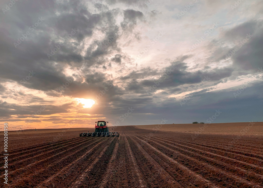 Red Tractor In A Large Field Pulling Rows Into The Setting Sun Red Tractor In A Large Field Pulling Rows Into The Setting Sun