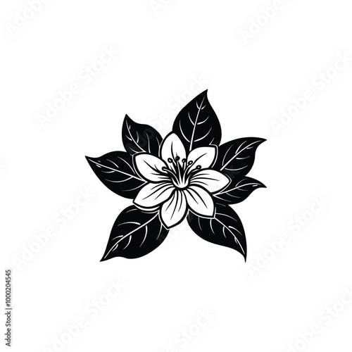 black and white branch flower jasmine outline isolated on background with word jasmine