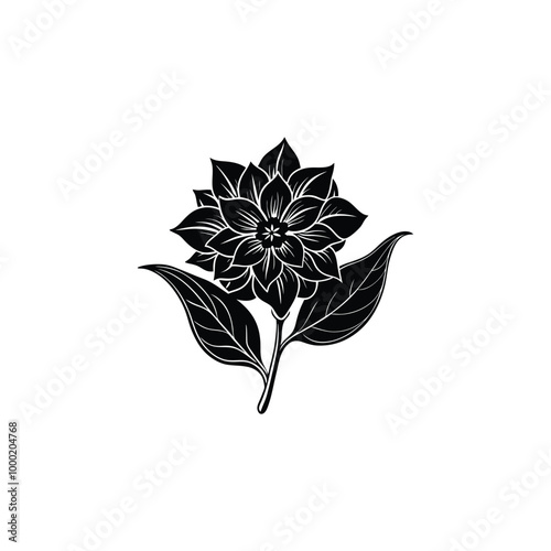dahlia flower black silhouette illustration