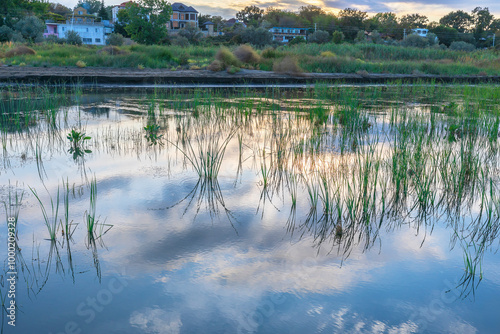 The flooded shore of the Ca...