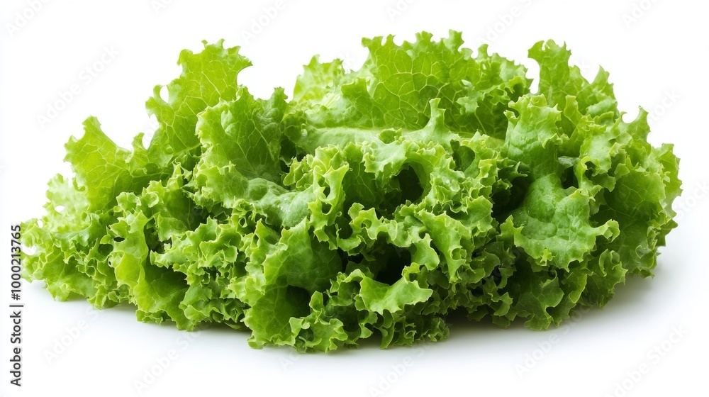 Fresh green lettuce leaves on white background