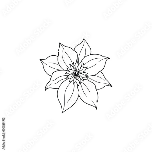 black and white branch flower jasmine outline isolated on background