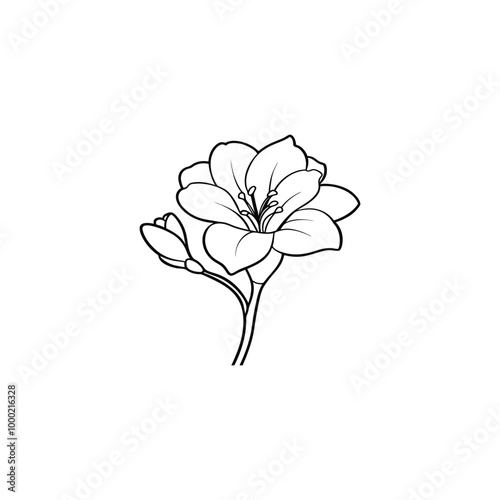 magnolia flower sketch style vector illustration isolated on white background