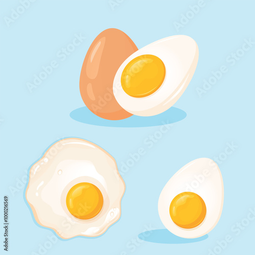 Set of chicken eggs.  Sunny side up Fried egg, Boiled egg, and whole egg in shell. Healthy Food, Protein Breakfast vector illustration.
