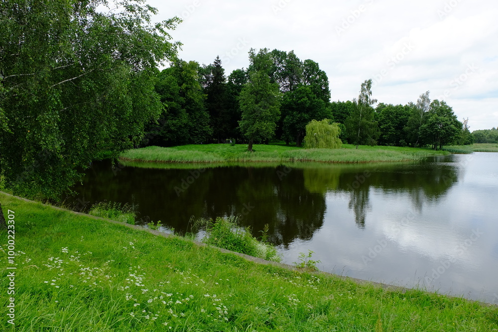 Fototapeta premium Scenic lake surrounded by lush green trees and grass with reflections on the water
