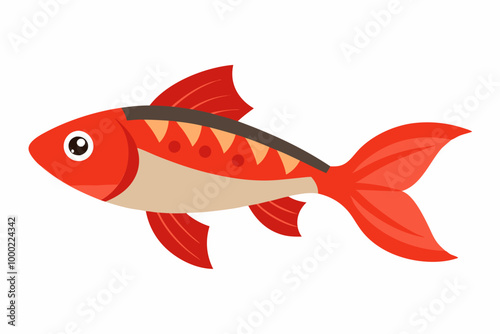 Guppy fish vector illustration on a white background