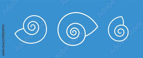 Grape snail shell. Isolated snail shell on blue background