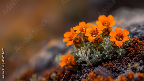  A group of orange flowers sits atop one pile of dirt, adjacent to another pile of dirt atop a third pile of dirt