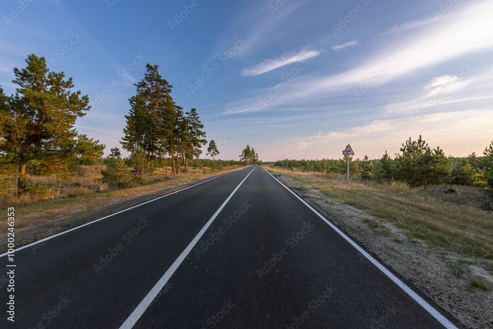 Naklejka premium A long, empty road with a few trees in the background