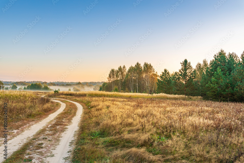 Fototapeta premium A road in a field with trees in the background