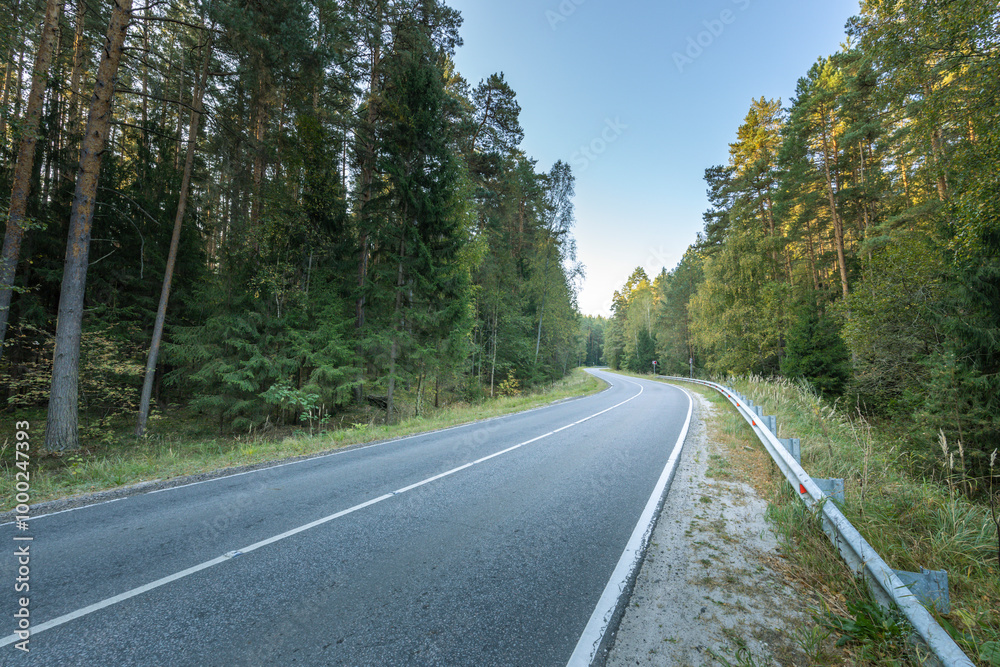 A road with trees on both sides and a clear blue sky A road with trees on both sides and a clear blue sky