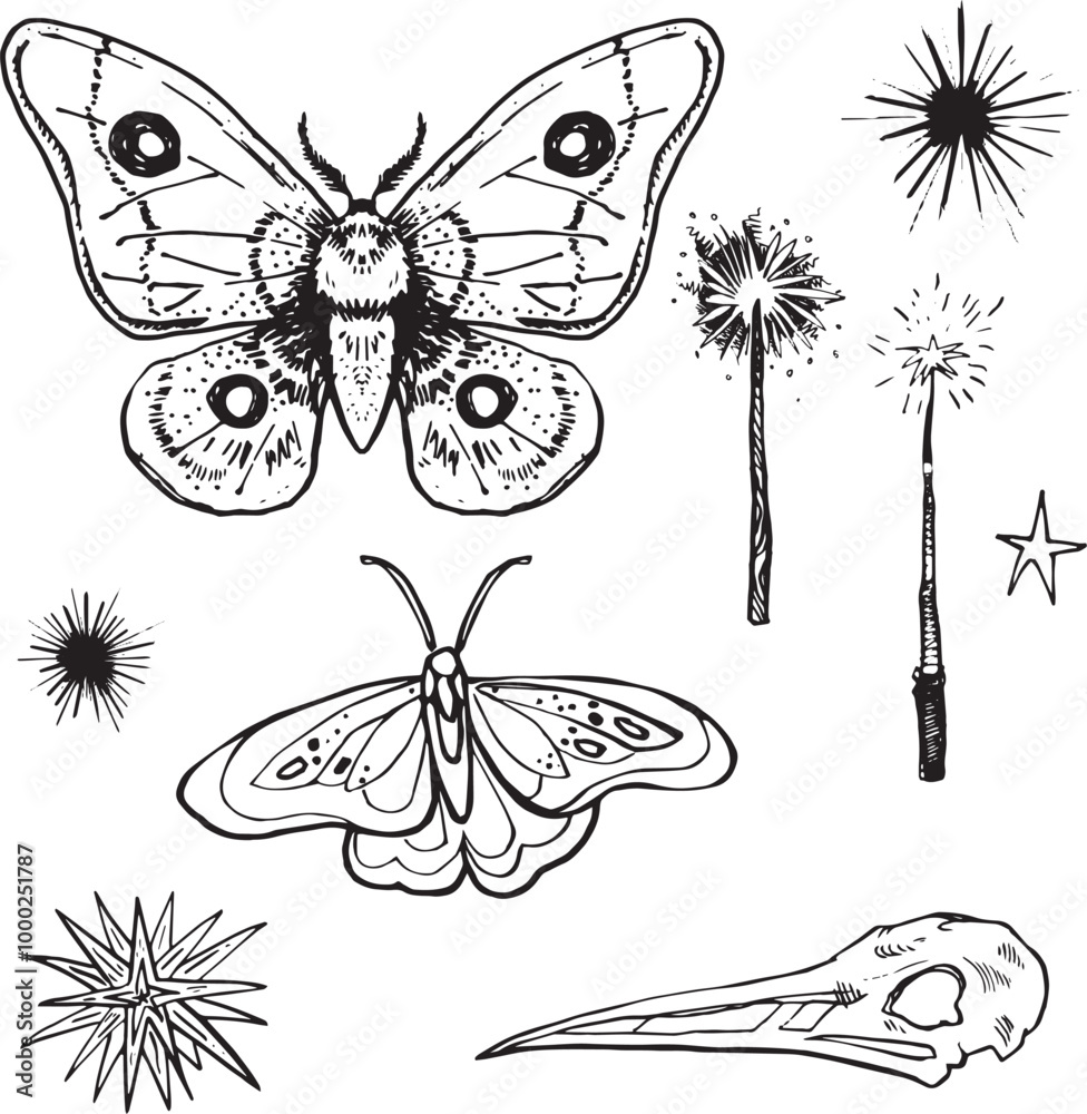Obraz premium Line Set Witch item Halloween Clip art set Magic wand drawing skull outline moth butterfly contour witch cauldron broom Hand drawn design element illustration Occult Symbol graphic animal skull grung
