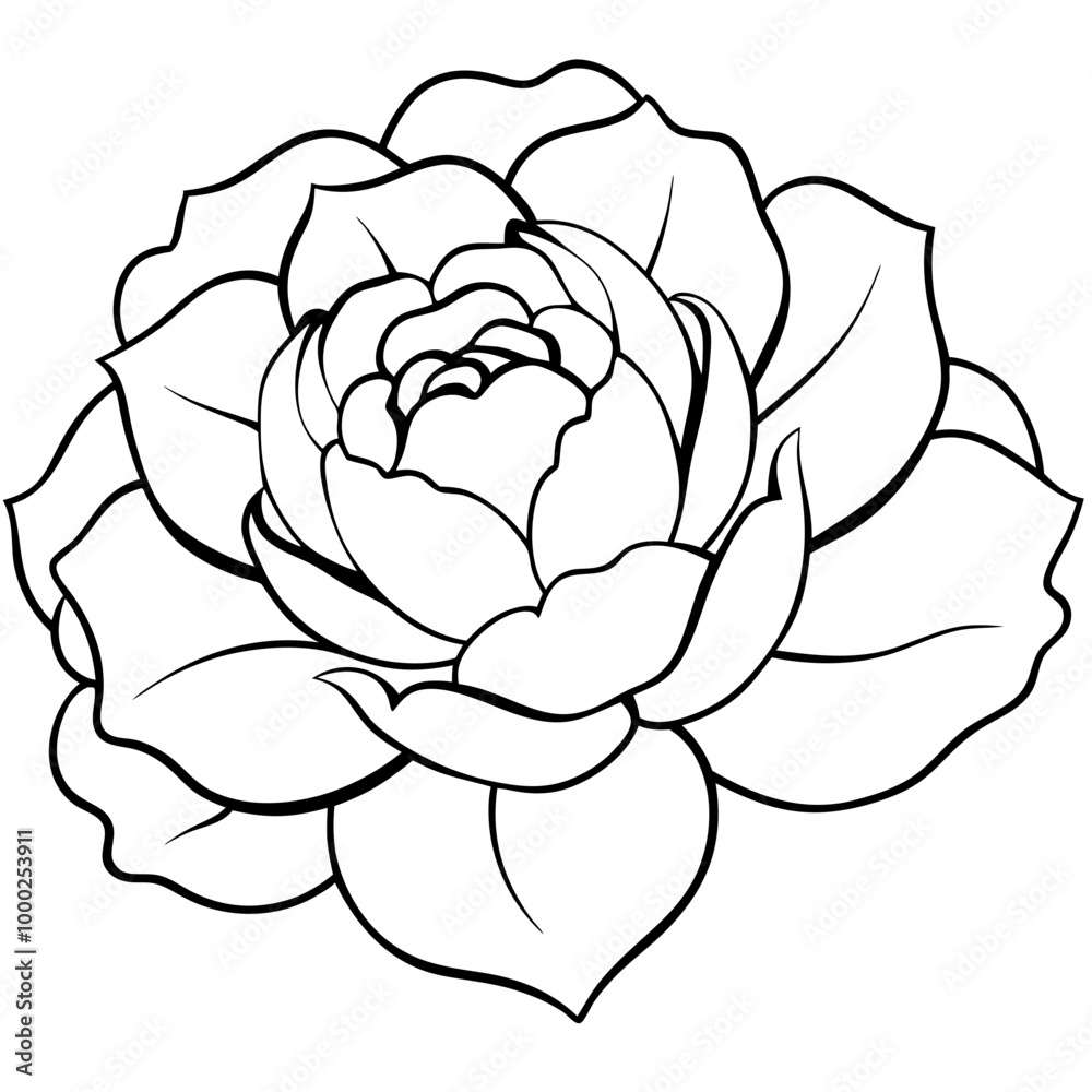 Graphical peony flower Graphical peony flower