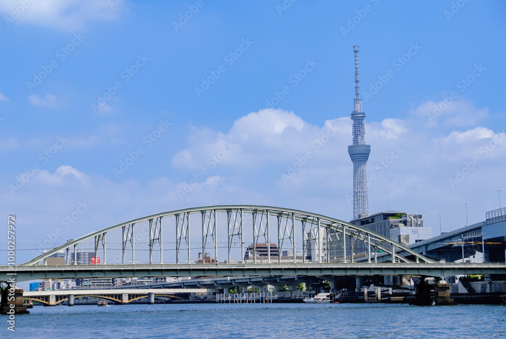 Fototapeta premium 隅田川と東京スカイツリー、両国付近、総武線隅田川橋梁