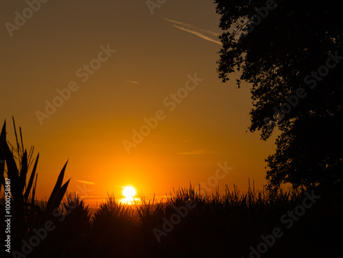 CLOSE UP: Beautiful sunset illuminates the rural landscape on a perfect autumn evening. Golden evening sunbeams shine on the scenic canopy and crop field in the picturesque Slovenian countryside.