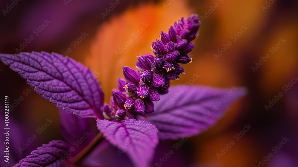 A tight shot of a purple bloom and a nearby green leaf, with a softly blurred background A tight shot of a purple bloom and a nearby green leaf, with a softly blurred background