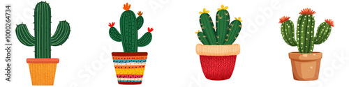 Colorful cacti in decorative pots, white isolated background