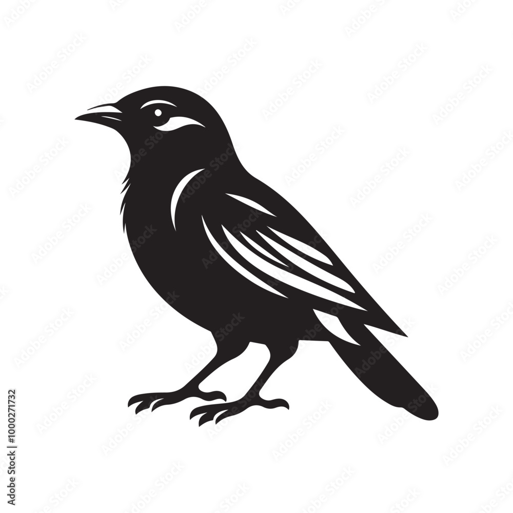 Mynah Bird Silhouette Vector Illustrations - High-Quality Design Assets Mynah Bird Silhouette Vector Illustrations - High-Quality Design Assets