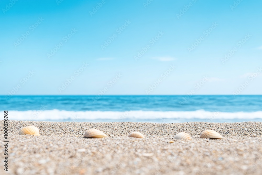 Seashells on a Sandy Beach with a Blue Sky and Ocean in the Background Seashells on a Sandy Beach with a Blue Sky and Ocean in the Background