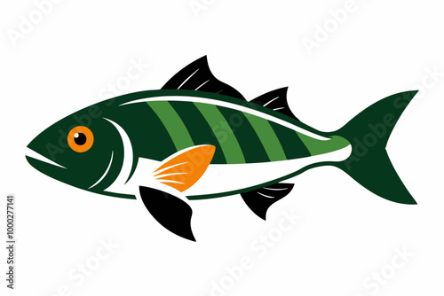 Vector design of pikeperch fish on a white background