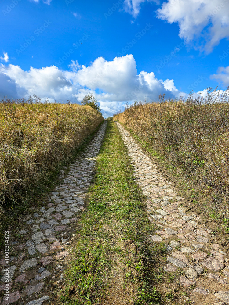 pathed farm track at the countryside during autumn pathed farm track at the countryside during autumn