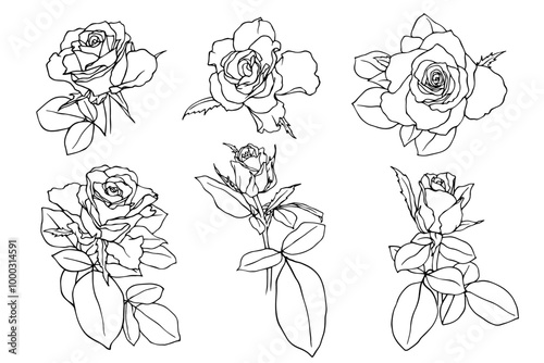 Collection of linear sketches, rose flower outlines. Vector graphics.