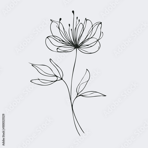 set of flowers vector illustration of a flower black and white flower