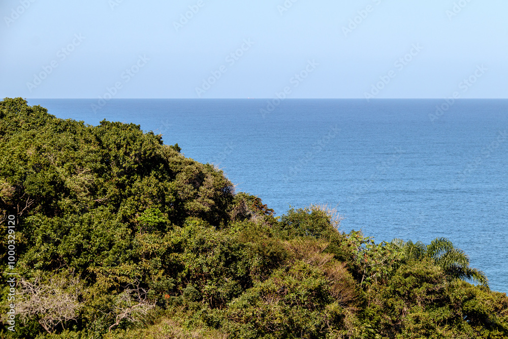 a piece of the atlantic forest next to the Two Hill Brother seen in Sao Conrado in Rio de Janeiro. a piece of the atlantic forest next to the Two Hill Brother seen in Sao Conrado in Rio de Janeiro.