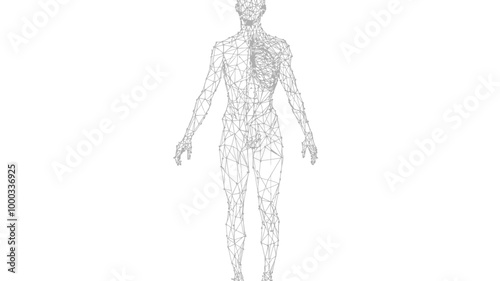 Low Poly Human Body Vector Illustration with Thin Lines and Dots in Minimalist Style for Science and Medicine Topics