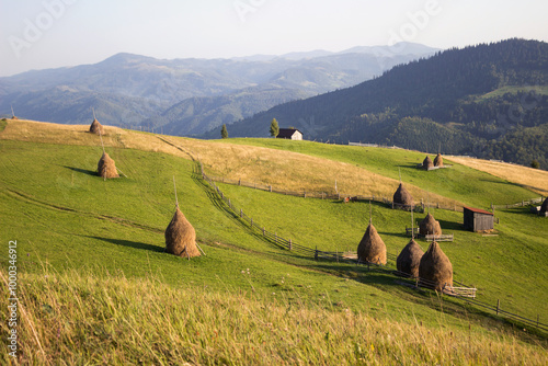 A haystack in the Carpathians, a mountain of dry hay in the mountains. Beautiful landscape, summer photo