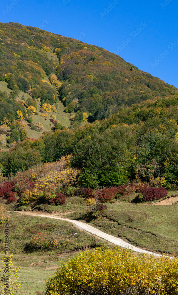 Mountains covered in green and yellow trees. Late summer. Mountains covered in green and yellow trees. Late summer.
