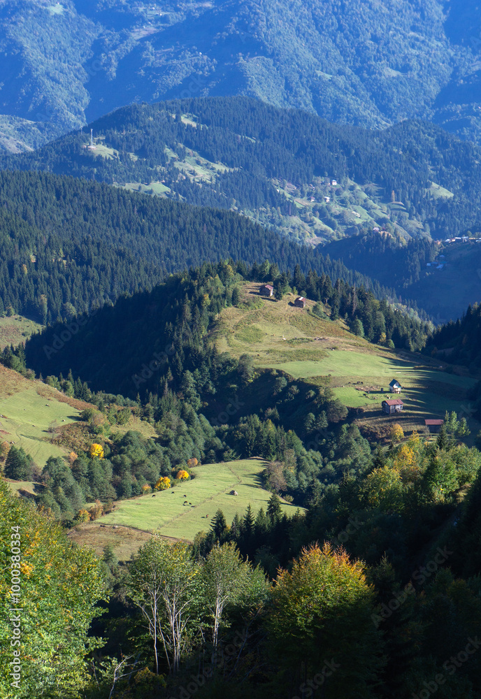 Fototapeta premium Green hills and mountain covered in tress. 