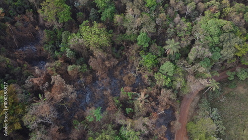 Incêndio florestal