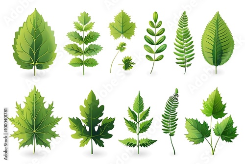 Vector illustration of various green leaf icons isolated on a white background, featuring detailed and diverse leaf shapes ideal for botanical designs and eco-friendly projects.