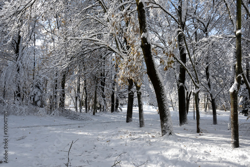 Winter panorama of South Park in city of Sofia, Bulgaria