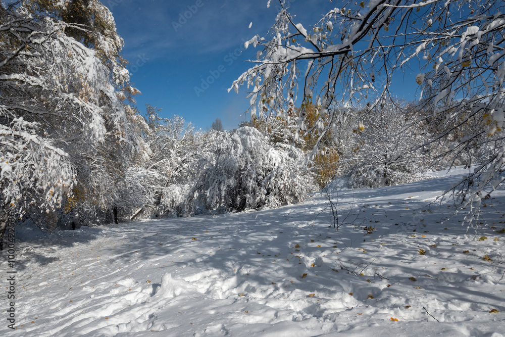 Winter panorama of South Park  in city of Sofia, Bulgaria