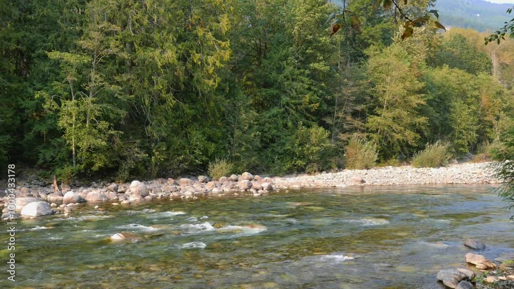 Chilliwack River during a summer season in Chilliwack, British Columbia, Canada Chilliwack River during a summer season in Chilliwack, British Columbia, Canada