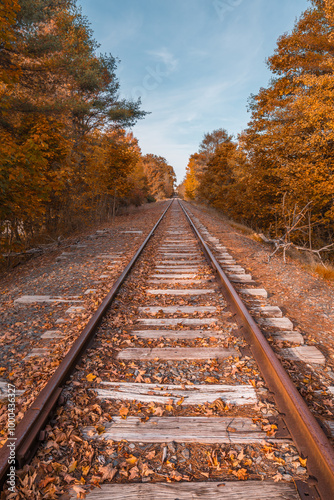 Train Tracks New England Autumn Fall Foliage Yellow Leaves Old Railroad Tracks. Antique Rusted Rails in Maine USA