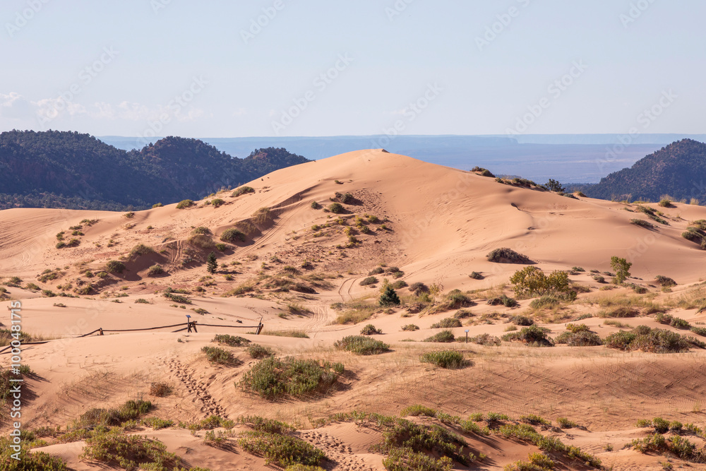 Coral Pink Sand Dunes State Park in Utah, USA Coral Pink Sand Dunes State Park in Utah, USA