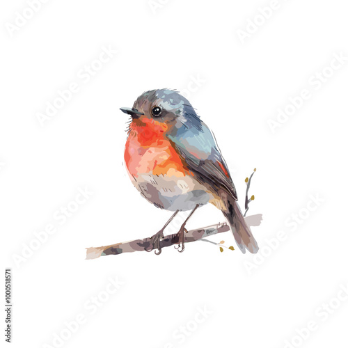 beautiful watercolor bird drawing
