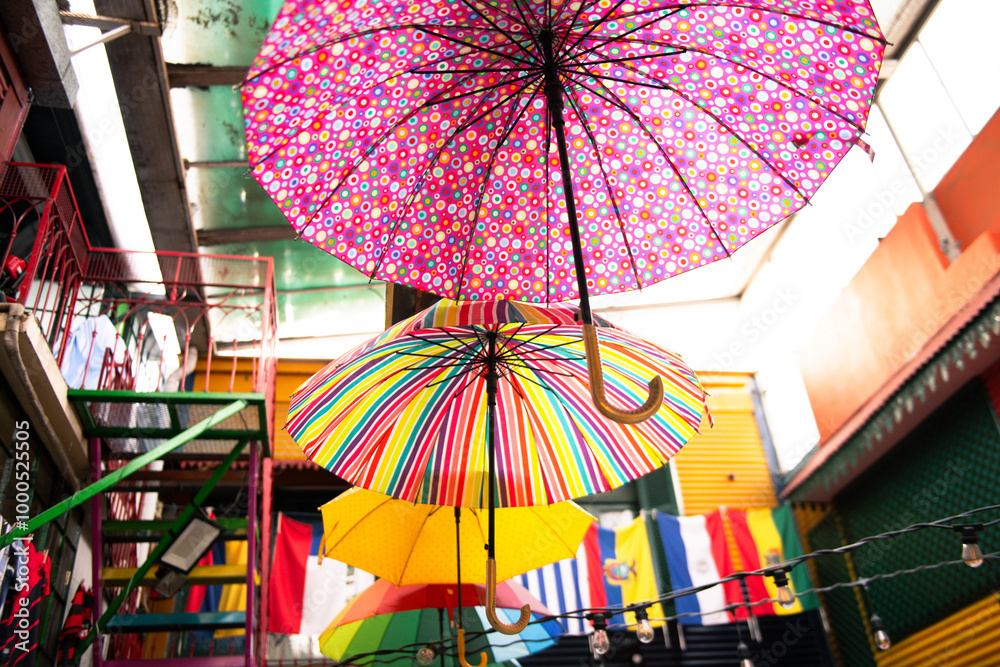 dog friendly lunch spots near me