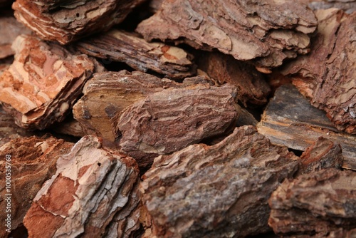 Pieces of tree bark as background, closeup