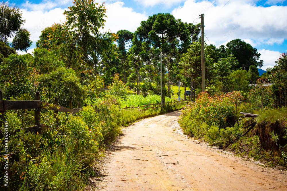 Picturesque dirt road bordered by lush greenery and tall trees in Serra da Bocaina. The vibrant colors and sunny day create an inviting scene of rural beauty and tranquility. Picturesque dirt road bordered by lush greenery and tall trees in Serra da Bocaina. The vibrant colors and sunny day create an inviting scene of rural beauty and tranquility.