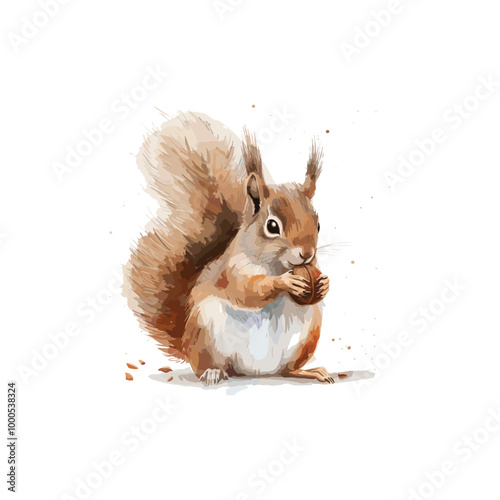 watercolor squirrel drawing

