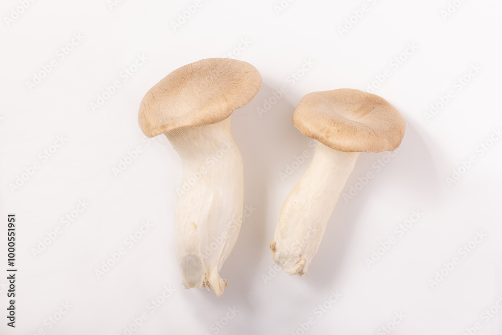 エリンギ エリンギ